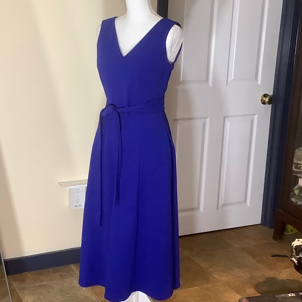 Blue Sleeveless Fitted Bodice Dress